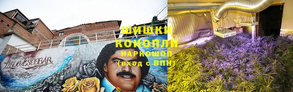ПСИЛОЦИБИНОВЫЕ ГРИБЫ Аркадак