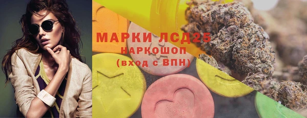ПСИЛОЦИБИНОВЫЕ ГРИБЫ Аркадак