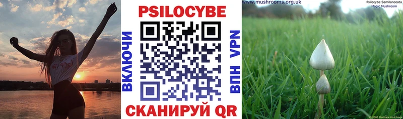 что такое наркотик  Струнино  Галлюциногенные грибы мицелий 